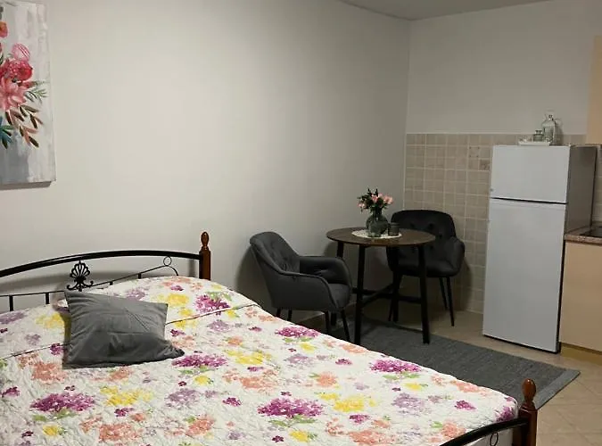 Leyla ヴォディツェ